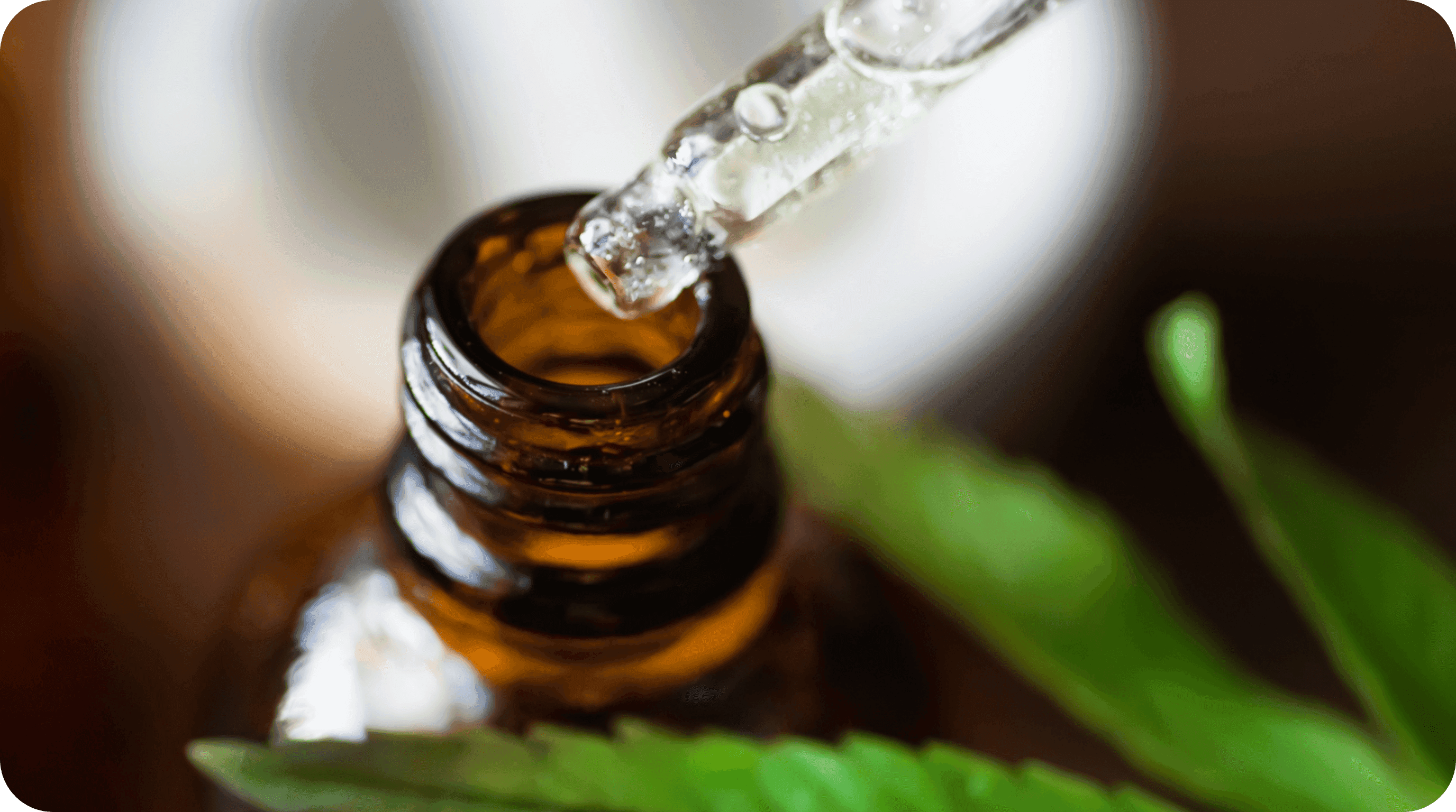 Nahaufnahme einer Pipette mit Extrakt